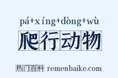爬行动物是什么意思的图片